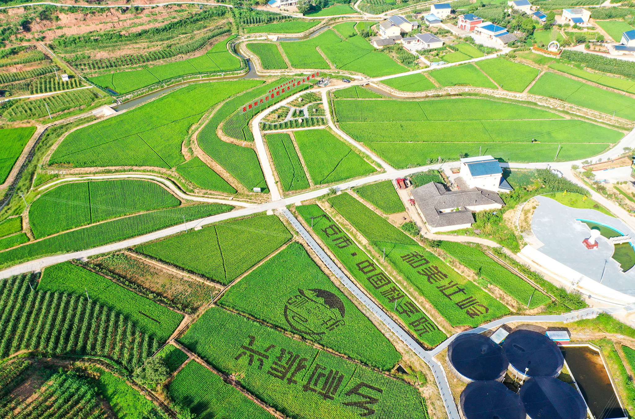 眼下,四川省广元市剑阁县汉阳镇壮岭村的剑北粮油园区,利用改良后的