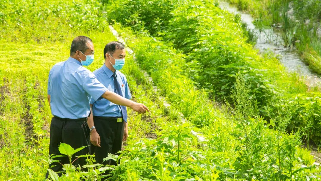 以案说法田长检察长应对入侵物种破坏黑土地资源问题