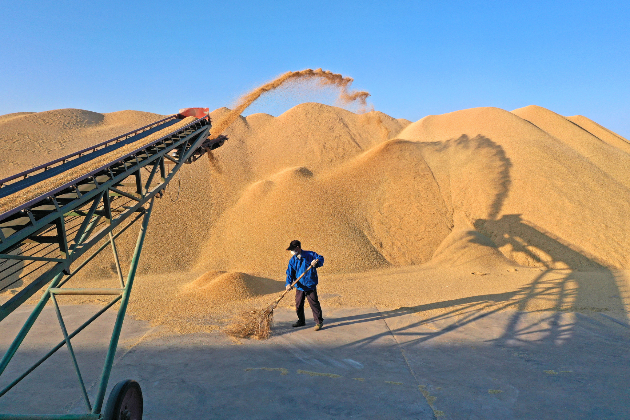 一线镜头∣地力有保障02粮食堆满仓