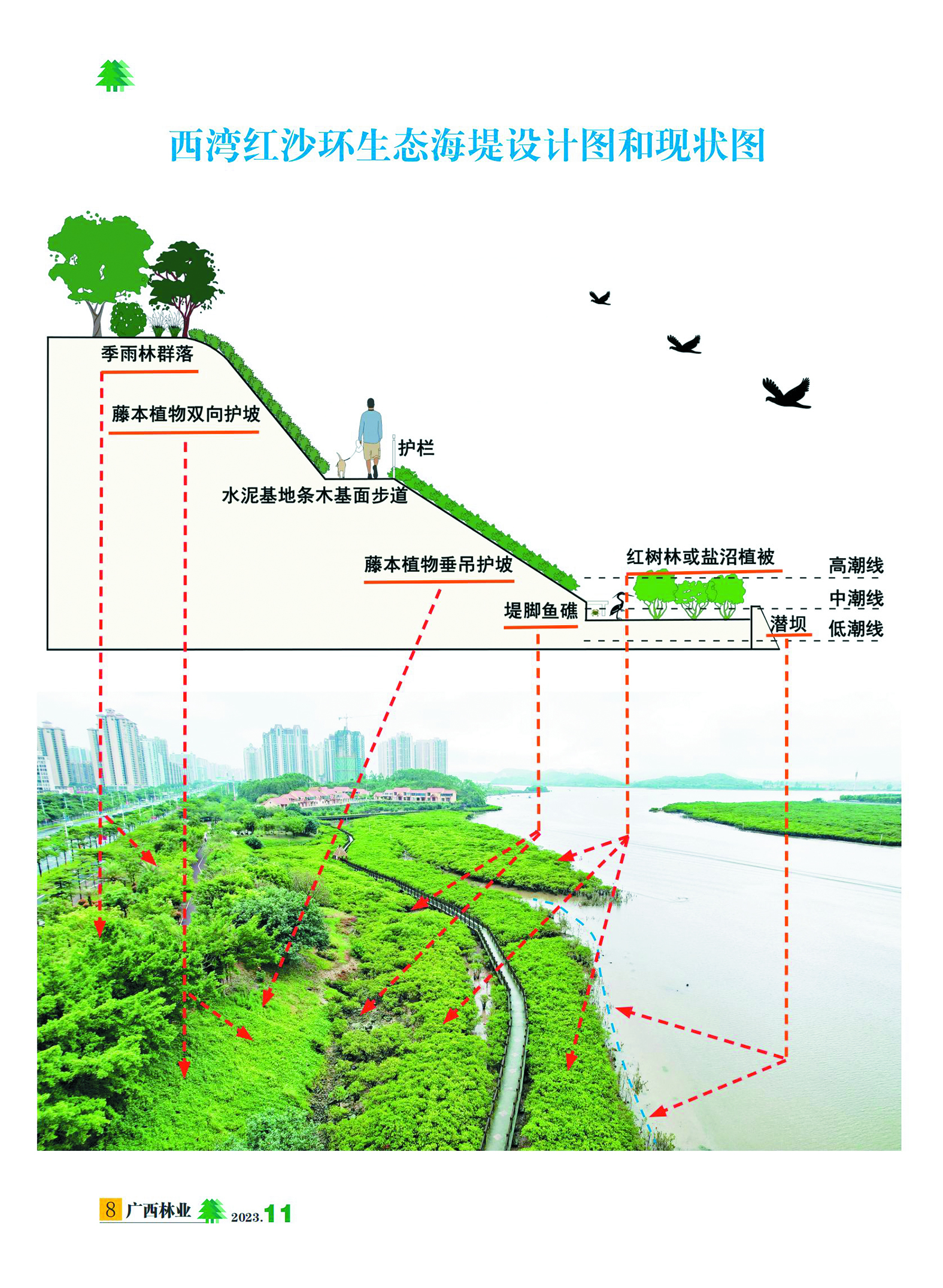 岸堤水库的地图图片