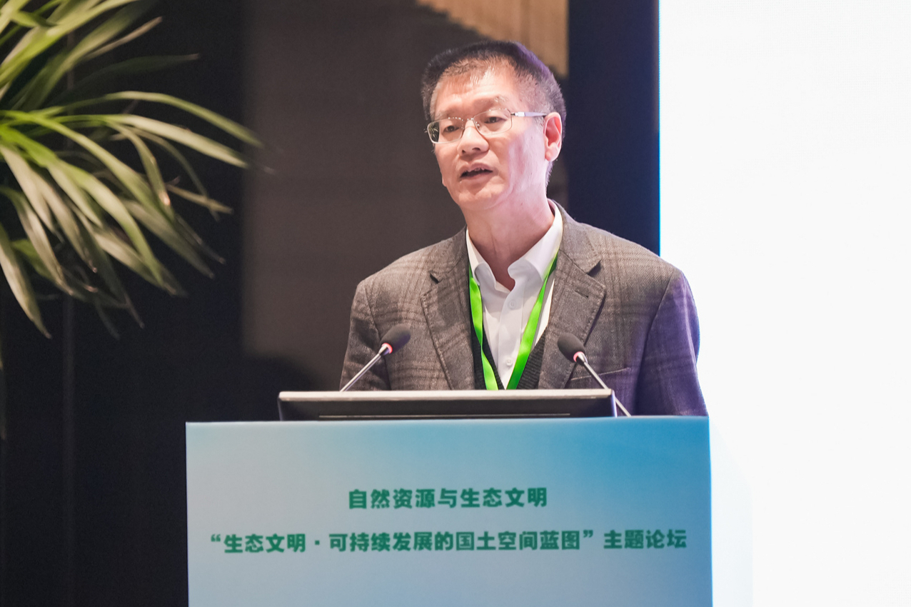 文章详情