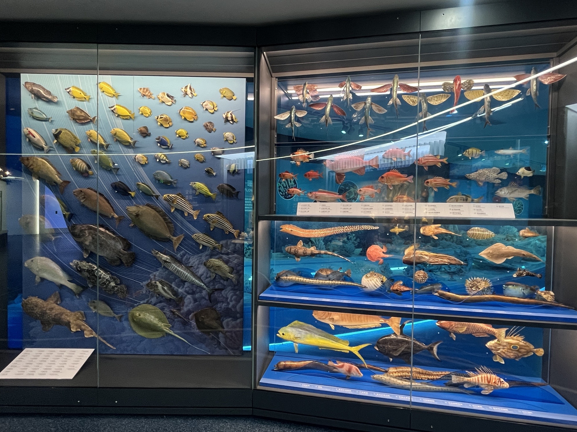 全国海洋知识竞赛一等奖学生走进三沙