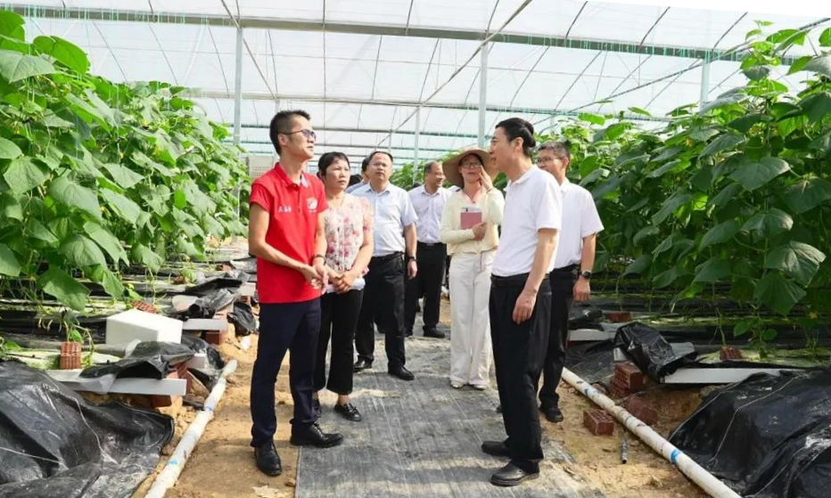 广西自然资源厅厅长张文军深入防城港市调研