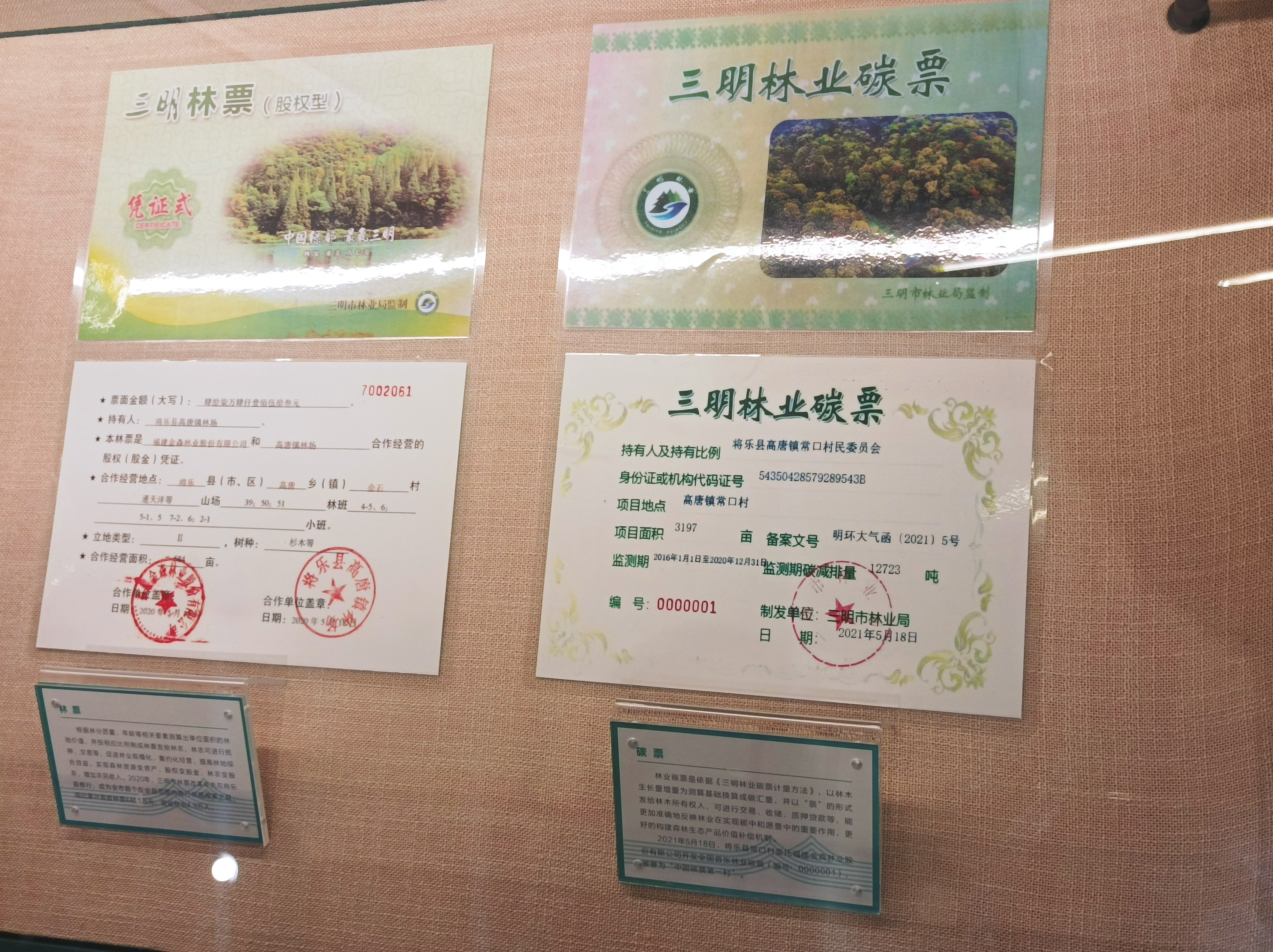 文章详情