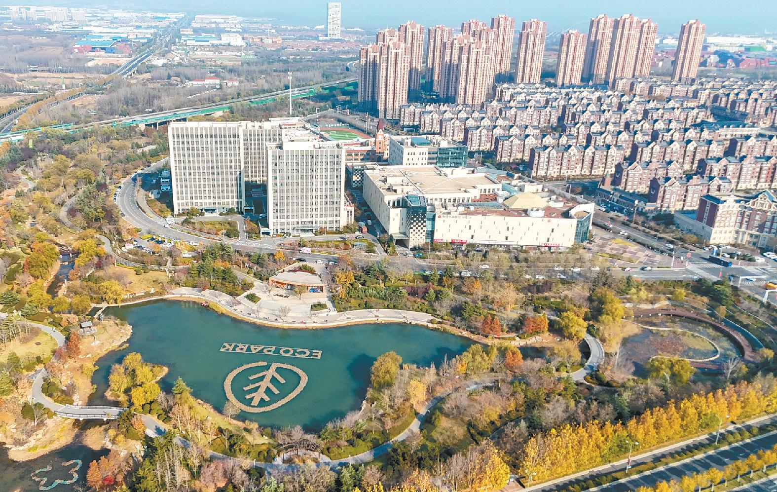 山东自贸试验区青岛片区:荒草地变生态园区