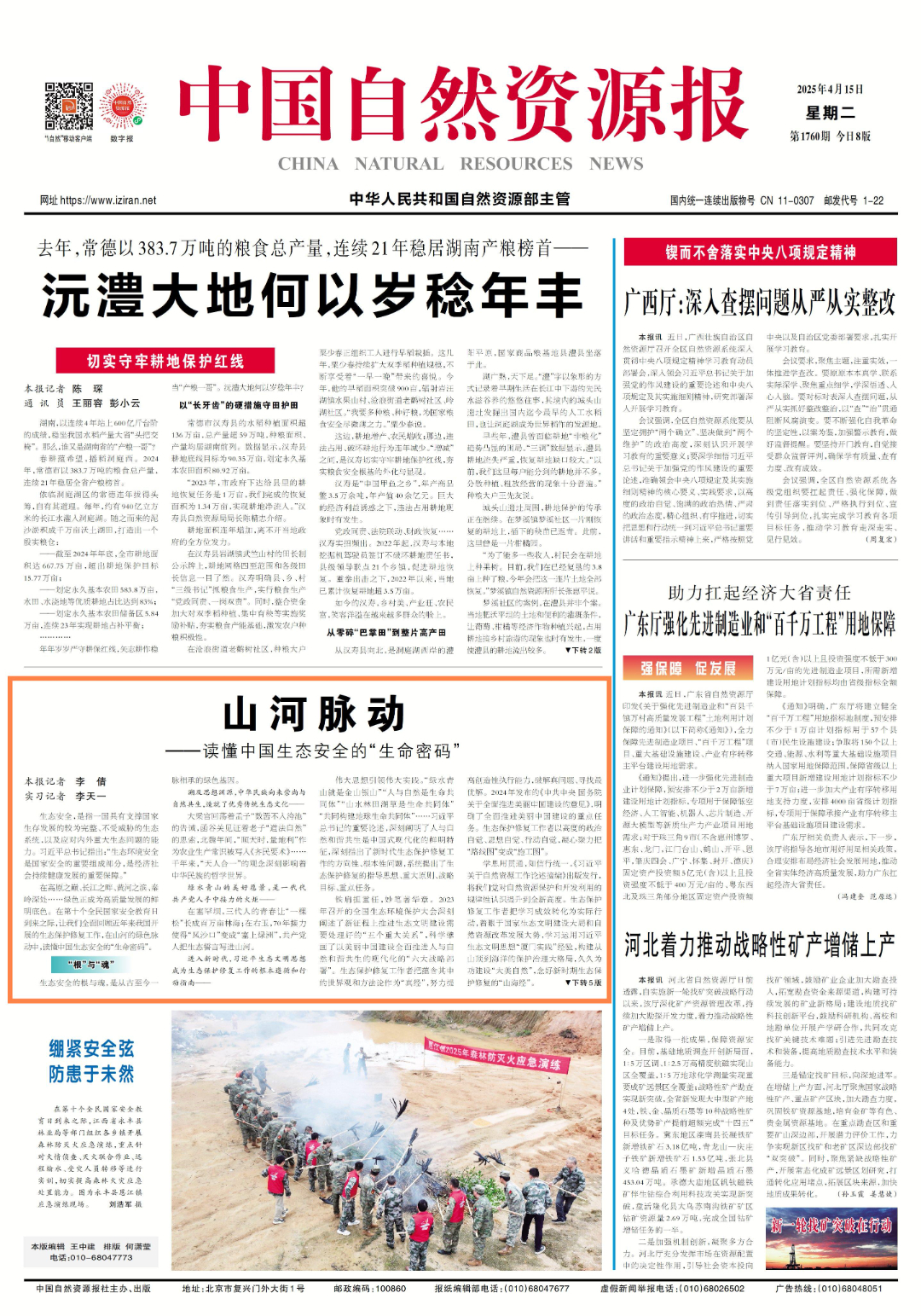 文章详情