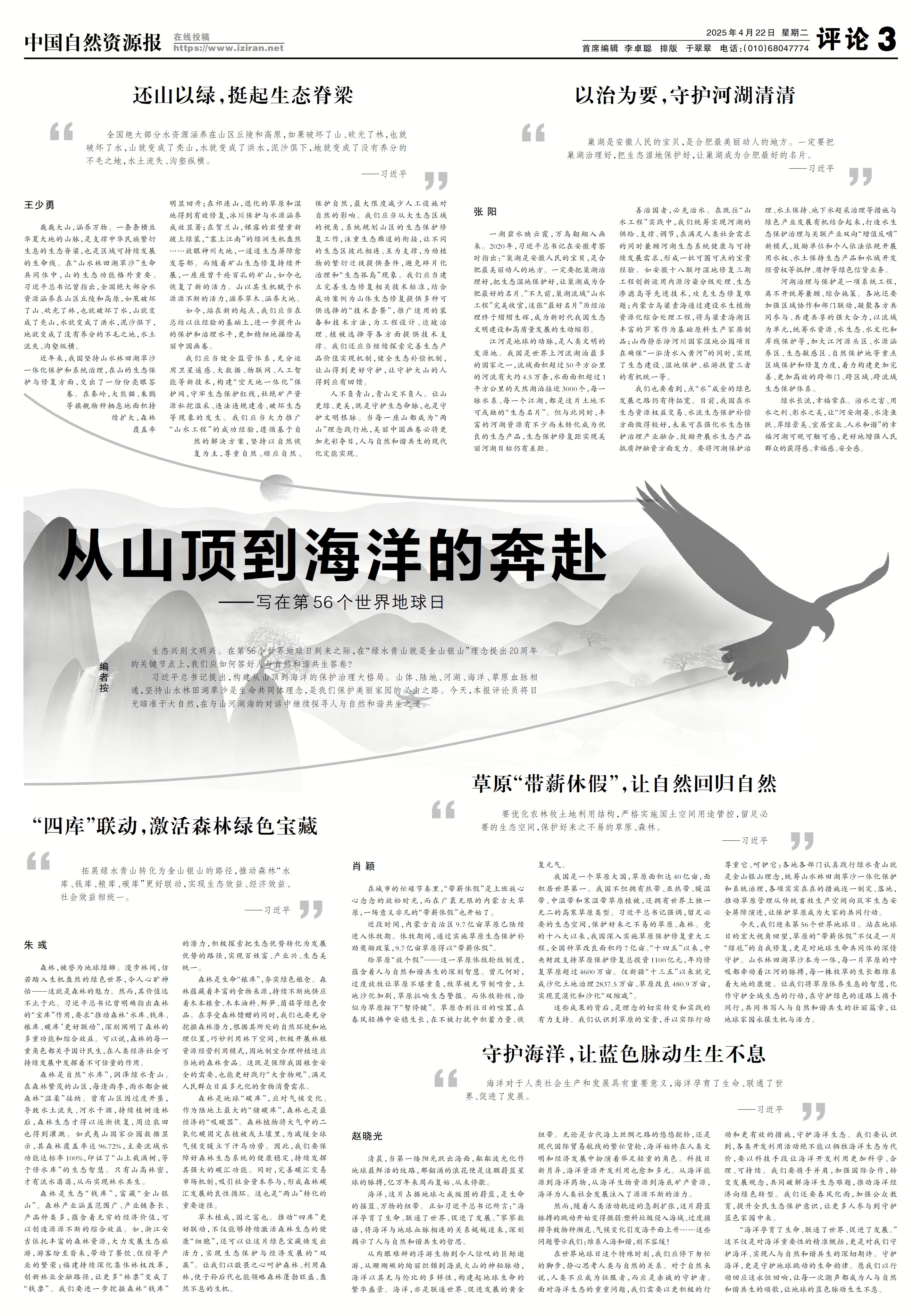 文章详情