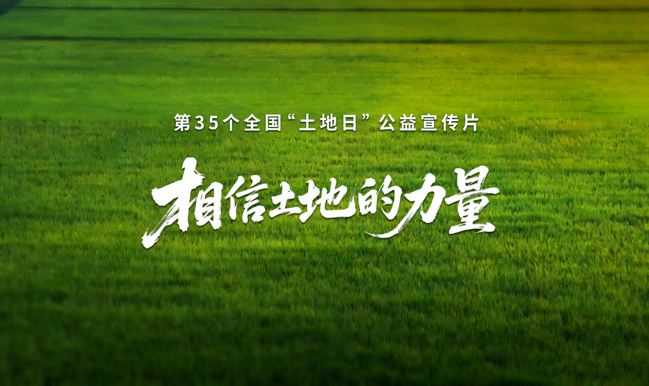 2025全国“土地日”
