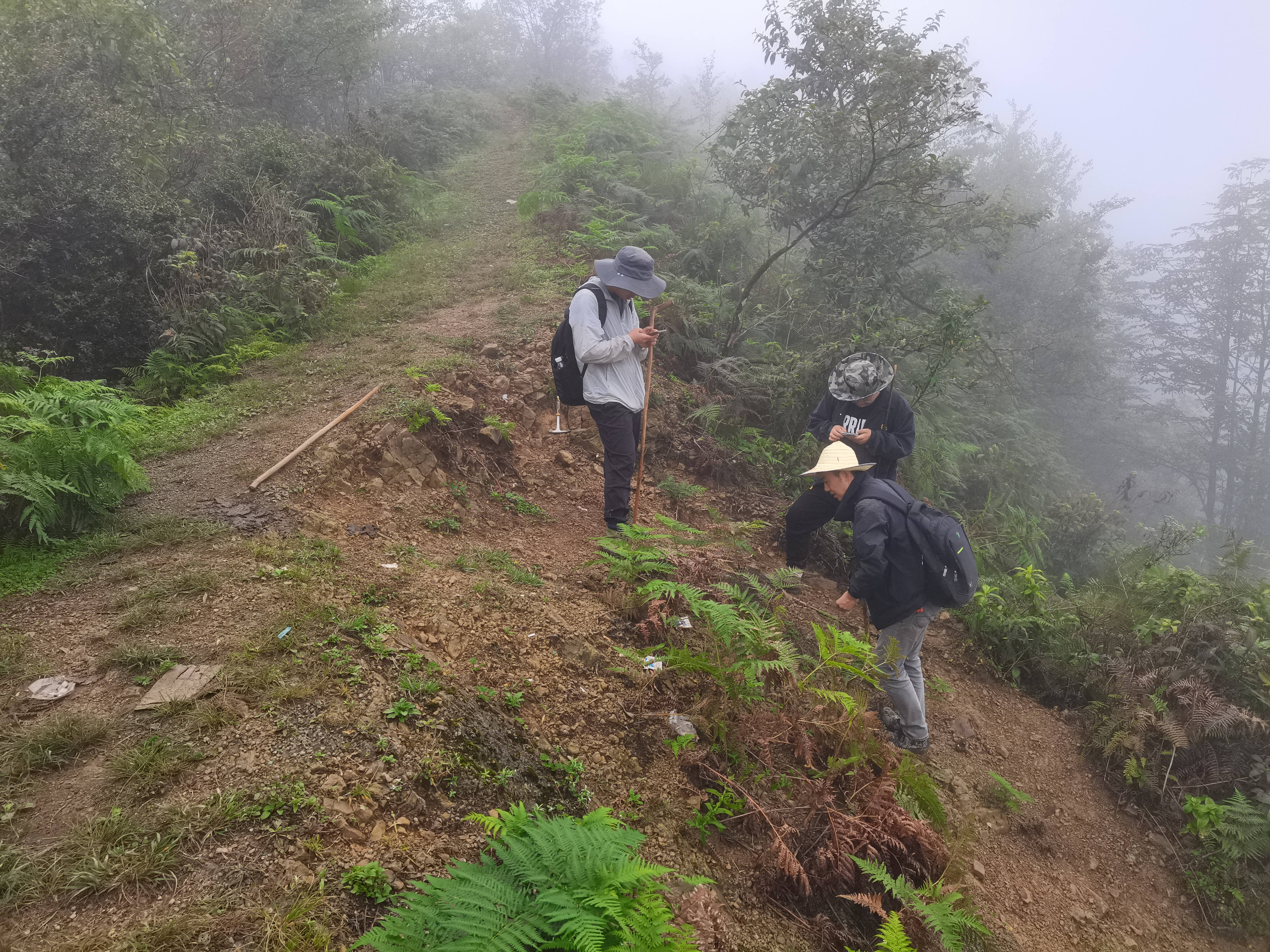 1+1+1＞3，四川雷波阿居洛呷磷矿找矿突破的启示