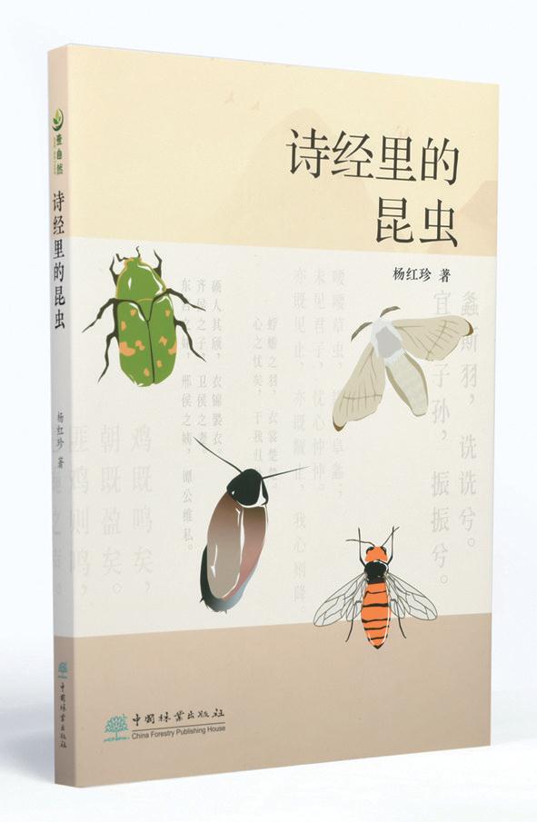 文章详情