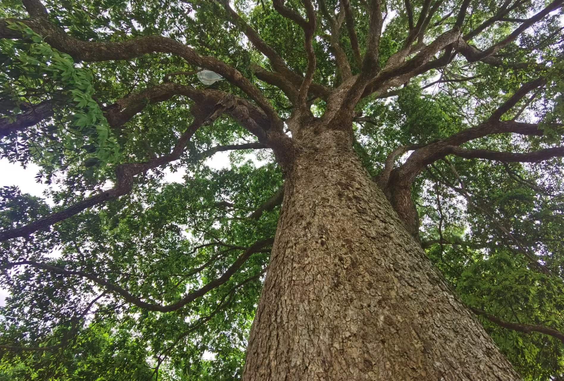 文章详情